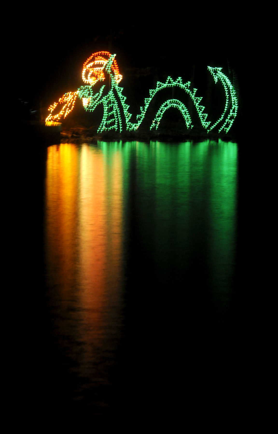FESTIVAL OF LIGHTS 2009